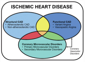 The Who, What, Why, When, How and Where of Vasospastic Angina – INOCA ...