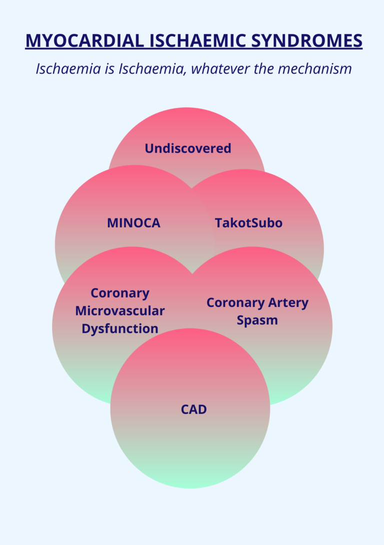 What is INOCA? – INOCA INTERNATIONAL